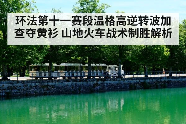 环法第十一赛段温格高逆转波加查夺黄衫 山地火车战术制胜解析