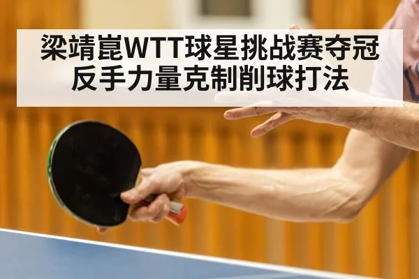 table tennis chopper defense